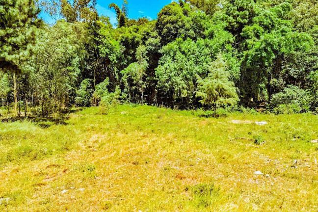 Imagem Terreno à Venda, 10.000 m² em São Miguel - Curitiba Imagem Terreno à Venda, 10.000 m² em São Miguel - Curitiba