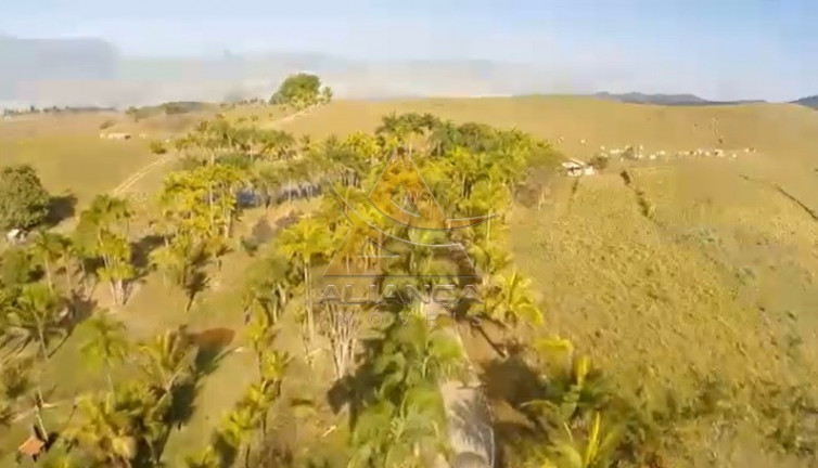 Imagem Imóvel com 10 Quartos à Venda, 1.452.000 m² em Caçapava - Caçapava Imagem Imóvel com 10 Quartos à Venda, 1.452.000 m² em Caçapava - Caçapava