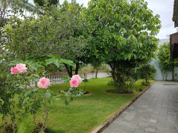 Imagem Chácara com 3 Quartos à Venda, 2.200 m² em Centro - Bom Jesus Dos Perdões Imagem Chácara com 3 Quartos à Venda, 2.200 m² em Centro - Bom Jesus Dos Perdões