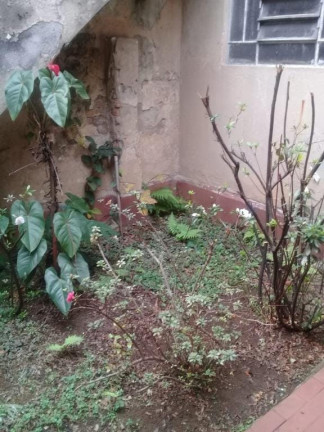 Imagem Sobrado com 3 Quartos à Venda, 200 m² em Vila Gomes Cardim - São Paulo Imagem Sobrado com 3 Quartos à Venda, 200 m² em Vila Gomes Cardim - São Paulo