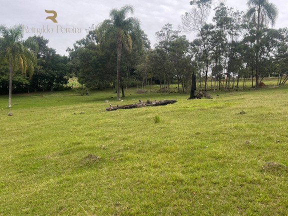 Imagem Chácara com 2 Quartos à Venda, 32.000 m² em Fazenda Fialho - Taquara