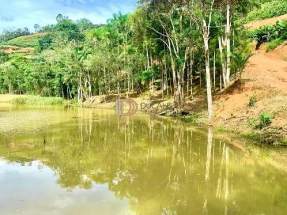 Imóvel com 3 Quartos à Venda, 220.000 m² em Centro - Santa Teresa