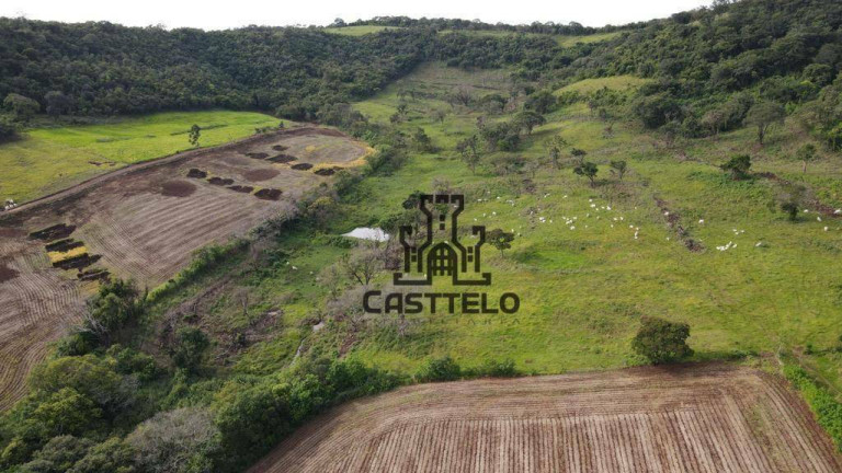 Imagem Fazenda à Venda, 1.140.400 m² em Zona Rural - Assaí Imagem Fazenda à Venda, 1.140.400 m² em Zona Rural - Assaí