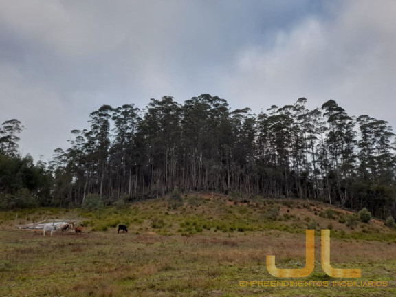 Imagem Terreno à Venda, 100 m² em Alto Cedros - Rio Dos Cedros