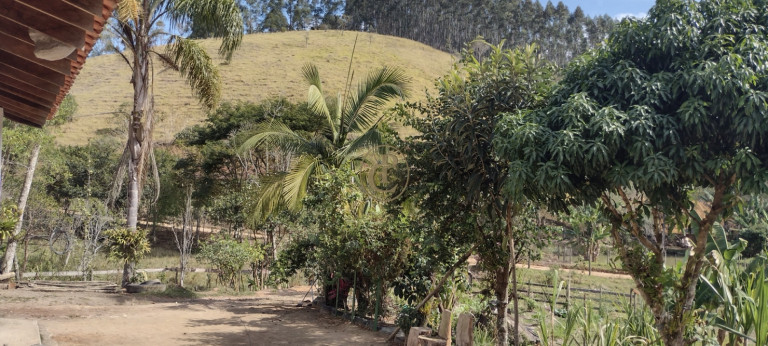 Imagem Chácara com 2 Quartos à Venda, em Pico Agudo - São Luíz Do Paraitinga Imagem Chácara com 2 Quartos à Venda, em Pico Agudo - São Luíz Do Paraitinga
