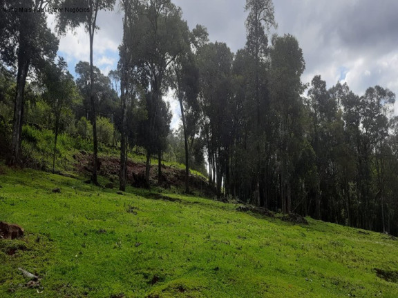Imagem Terreno à Venda, 2 m² em Linha Imperial - Nova Petrópolis