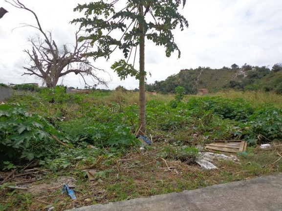 Imagem Terreno à Venda, 4 m²em Abrantes - Camaçari Imagem Terreno à Venda, 4 m²em Abrantes - Camaçari