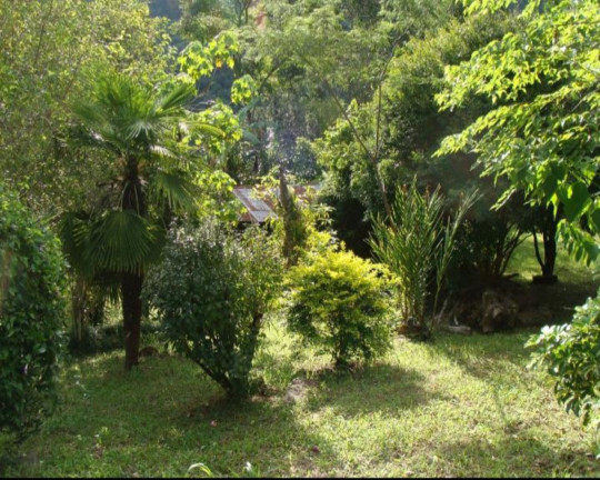 Imagem Imóvel à Venda,  em Linha Pirajá Baixa - Nova Petrópolis