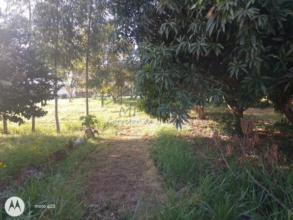 Imagem Terreno à Venda, 250 m² em Jardim Itália - Pirassununga Imagem Terreno à Venda, 250 m² em Jardim Itália - Pirassununga