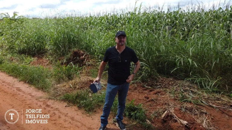 Imagem Fazenda à Venda, 108 m² em Zona Rural - Sinop Imagem Fazenda à Venda, 108 m² em Zona Rural - Sinop