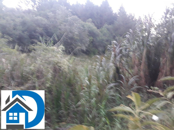 Imagem Chácara à Venda, 1 m² em Zona Rural - São Miguel Arcanjo Imagem Chácara à Venda, 1 m² em Zona Rural - São Miguel Arcanjo