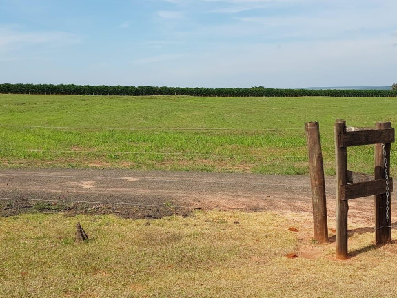 Imagem Fazenda à Venda, 171 m² em Rural - Cabrália Paulista Imagem Fazenda à Venda, 171 m² em Rural - Cabrália Paulista