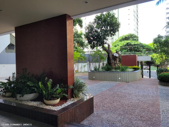 Imagem Apartamento com 3 Quartos para Alugar, 145 m² em Itaigara - Salvador