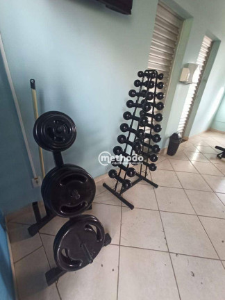 Imagem Apartamento com 2 Quartos à Venda, 46 m² em Jardim Márcia - Campinas Imagem Apartamento com 2 Quartos à Venda, 46 m² em Jardim Márcia - Campinas