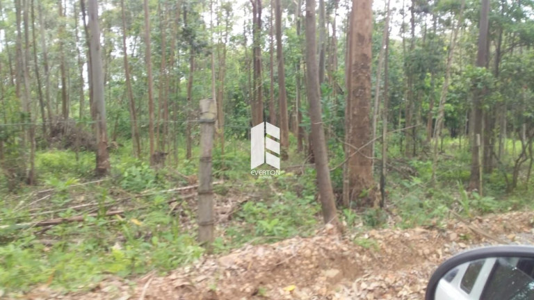 Imagem Imóvel à Venda, 150.000.000 m² em Etelvina - Itaara Imagem Imóvel à Venda, 150.000.000 m² em Etelvina - Itaara