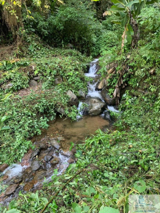 Imagem Chácara à Venda, 126.000 m² em Centro (rio Rosinha) - Rio Dos Cedros Imagem Chácara à Venda, 126.000 m² em Centro (rio Rosinha) - Rio Dos Cedros