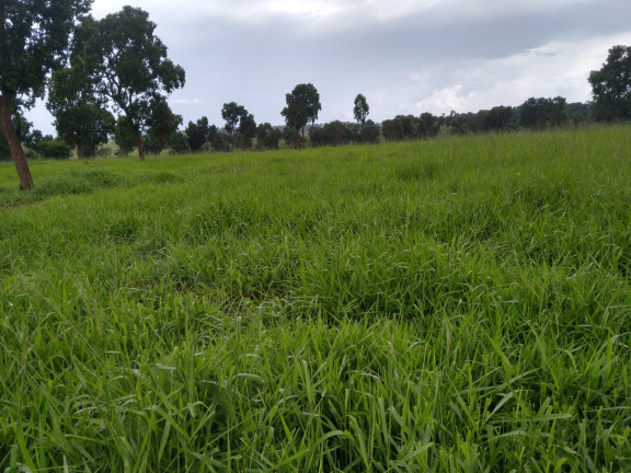 Imóvel à Venda, 183 m² em Area Rural De Paranaiba - Paranaiba