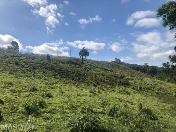 Imagem Chácara à Venda, 70.000 m² em Serra Grande Italiana - Gramado Imagem Chácara à Venda, 70.000 m² em Serra Grande Italiana - Gramado