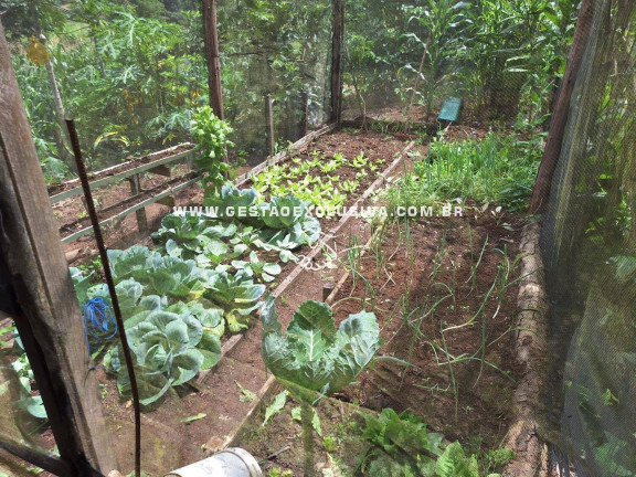 Imagem Chácara com 3 Quartos à Venda, 7.500 m² em Zona Rural - Morungaba Imagem Chácara com 3 Quartos à Venda, 7.500 m² em Zona Rural - Morungaba