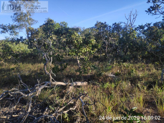 Imagem Chácara à Venda, 49.500.000 m² em Centro - Buritizeiro Imagem Chácara à Venda, 49.500.000 m² em Centro - Buritizeiro