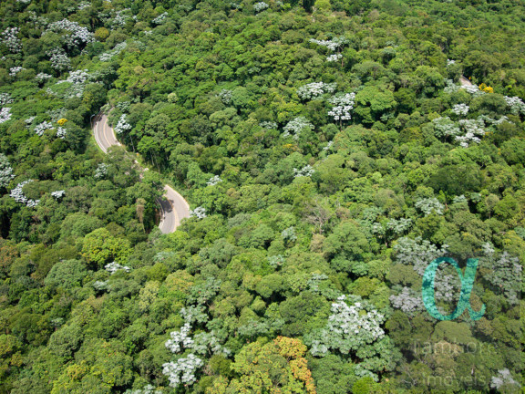 Imagem Terreno à Venda, 490 m² em Alphaville - Santana De Parnaíba Imagem Terreno à Venda, 490 m² em Alphaville - Santana De Parnaíba