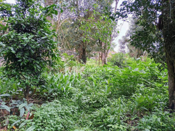Imagem Terreno à Venda, em Vila Santa Maria - Piraquara Imagem Terreno à Venda, em Vila Santa Maria - Piraquara