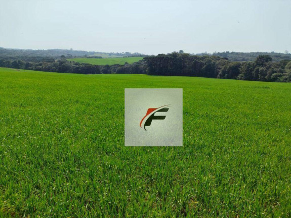 Imagem Fazenda à Venda, 847.000 m² em Centro - Lapa Imagem Fazenda à Venda, 847.000 m² em Centro - Lapa