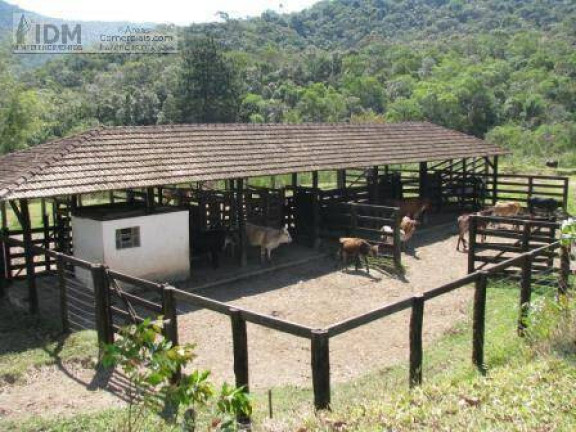 Imagem Chácara à Venda, 2.650.000 m² em Centro - São Lourenço Da Serra Imagem Chácara à Venda, 2.650.000 m² em Centro - São Lourenço Da Serra