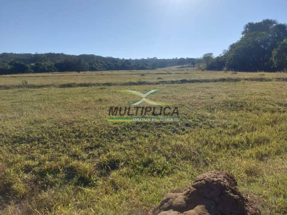 Fazenda à Venda, 251 m² em Ituiutaba