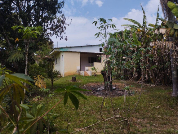 Imagem Chácara com 3 Quartos à Venda, 1.525 m² em Jardim Cananéia - Pilar Do Sul Imagem Chácara com 3 Quartos à Venda, 1.525 m² em Jardim Cananéia - Pilar Do Sul