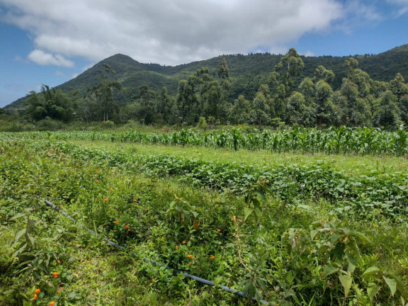 Imagem Fazenda à Venda, 80 m² em São João Do Rio Vermelho - Florianópolis Imagem Fazenda à Venda, 80 m² em São João Do Rio Vermelho - Florianópolis