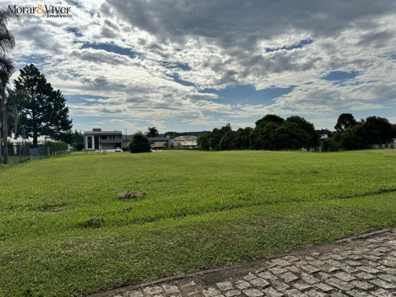 Imagem Terreno à Venda, 2.500 m² em Campo Largo Da Roseira - São José Dos Pinhais Imagem Terreno à Venda, 2.500 m² em Campo Largo Da Roseira - São José Dos Pinhais