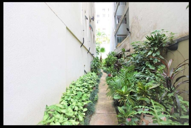 Imagem Apartamento com 3 Quartos à Venda, 98 m² em Santa Cecília - São Paulo