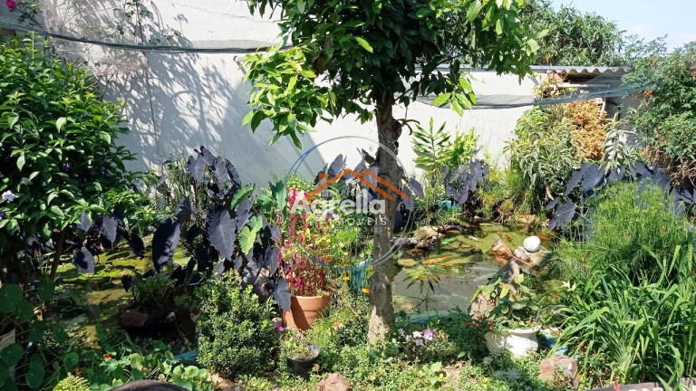 Imagem Imóvel com 2 Quartos à Venda, 374 m² em Pederneiras - Mogi Mirim Imagem Imóvel com 2 Quartos à Venda, 374 m² em Pederneiras - Mogi Mirim
