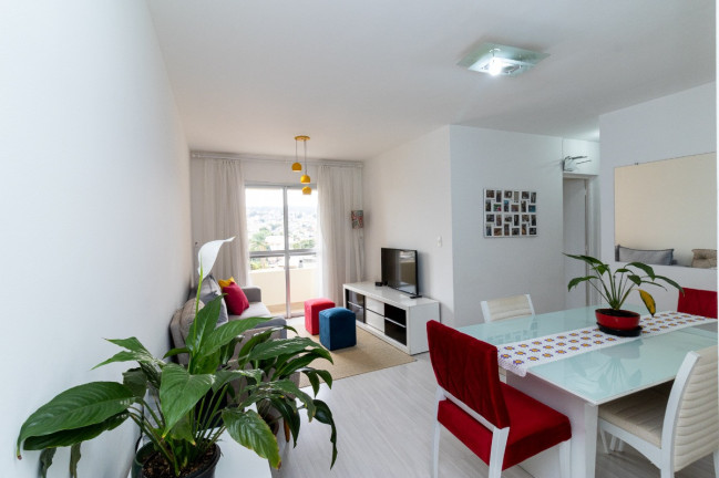 Imagem Apartamento com 3 Quartos à Venda, 64 m² em Vila Nova Cachoeirinha - São Paulo