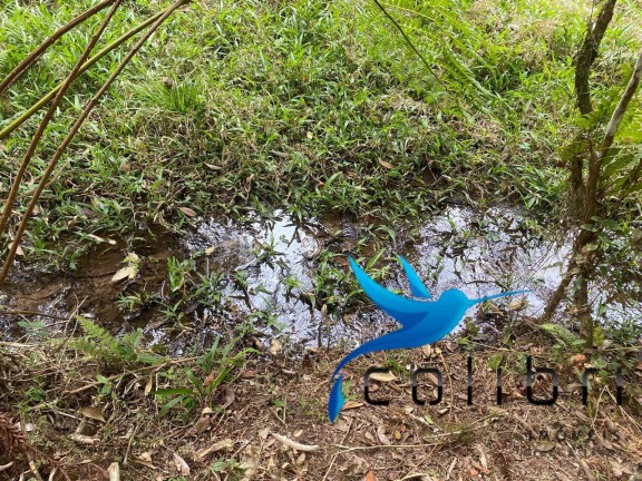 Imagem Terreno à Venda, 2.141 m² em Leão - Agudos Do Sul Imagem Terreno à Venda, 2.141 m² em Leão - Agudos Do Sul