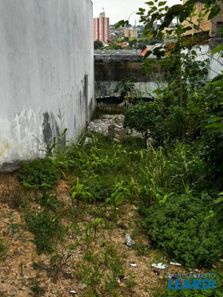 Imagem Terreno à Venda, 125 m² em Parque Oratório - Santo André