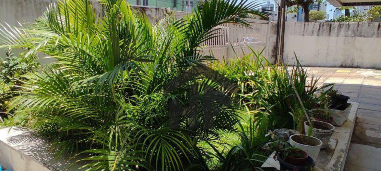Imagem Apartamento com 2 Quartos à Venda, 50 m² em Cabdeias - Jaboatão Dos Guararapes Imagem Apartamento com 2 Quartos à Venda, 50 m² em Cabdeias - Jaboatão Dos Guararapes
