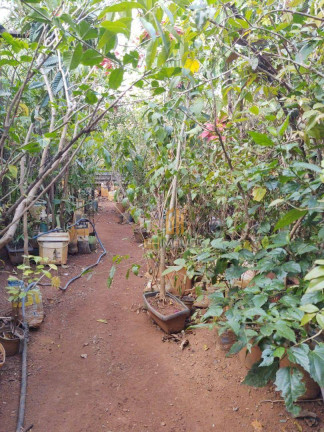 Imagem Casa com 2 Quartos à Venda, 261 m² em Setor Central - Aparecida De Goiânia