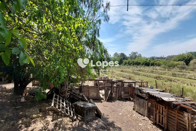 Imagem Terreno à Venda, 74.000 m² em Guedes - Jaguariúna Imagem Terreno à Venda, 74.000 m² em Guedes - Jaguariúna