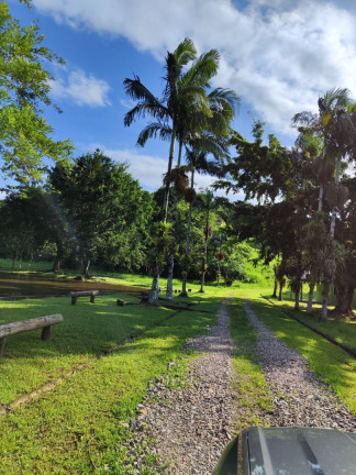Imagem Fazenda à Venda, 2.000 m² em Saíva - Antonina Imagem Fazenda à Venda, 2.000 m² em Saíva - Antonina