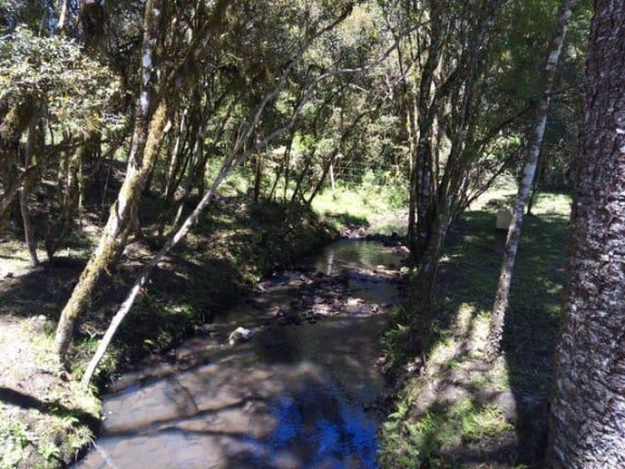 Imagem Imóvel com 1 Quarto à Venda, 20.000 m² em Criúva - Caxias Do Sul