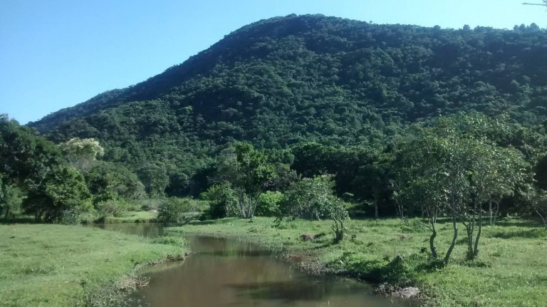 Imagem Chácara à Venda, 4.800 m² em São João Do Rio Vermelho - Florianópolis Imagem Chácara à Venda, 4.800 m² em São João Do Rio Vermelho - Florianópolis