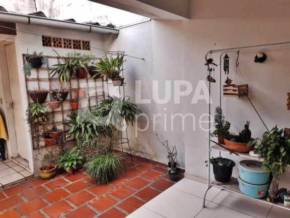 Imagem Casa com 3 Quartos à Venda, 177 m² em Jardim Guanca - São Paulo
