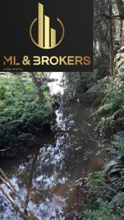 Imagem Imóvel com 2 Quartos à Venda, 20.380 m² em Cachoeirinha - Bocaiuva Do Sul