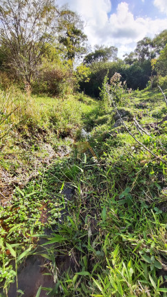 Imagem Fazenda à Venda, em Canguiri - Imaruí Imagem Fazenda à Venda, em Canguiri - Imaruí