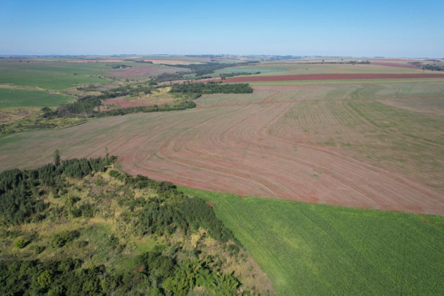 Imagem Fazenda à Venda, 540 m² em Zona Rural - Munhoz De Melo