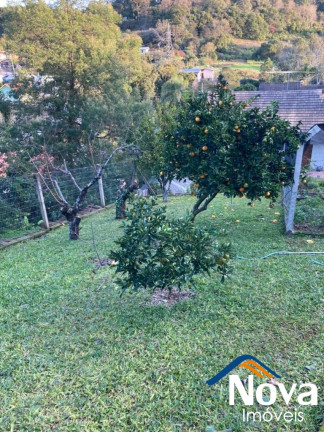 Imagem Imóvel com 3 Quartos à Venda,  em Logradouro - Nova Petrópolis