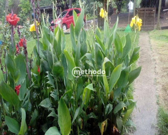 Imagem Fazenda à Venda, 11 m² em Jardim São Benedito - Alpinópolis Imagem Fazenda à Venda, 11 m² em Jardim São Benedito - Alpinópolis
