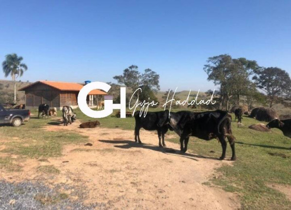 Imagem Chácara à Venda, 9 m² em Piedade Imagem Chácara à Venda, 9 m² em Piedade